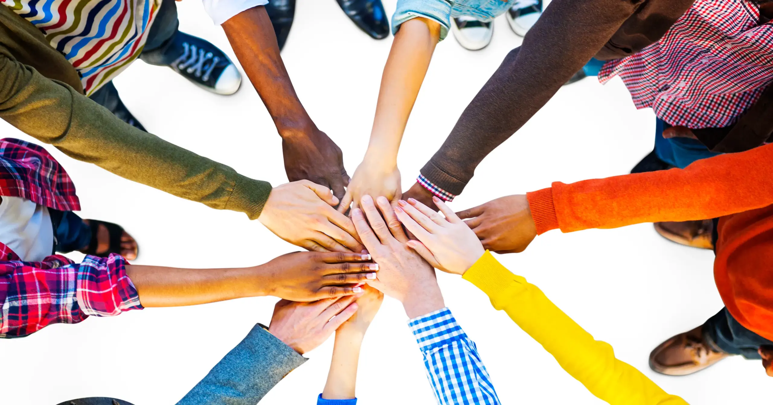 The EVF Roadmap to Community Growth