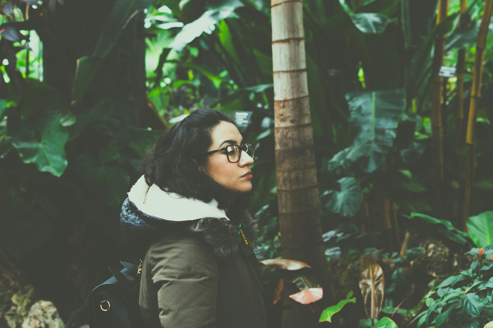 Sustainable Forestry: Inspired by Nature, Fueled by Purpose