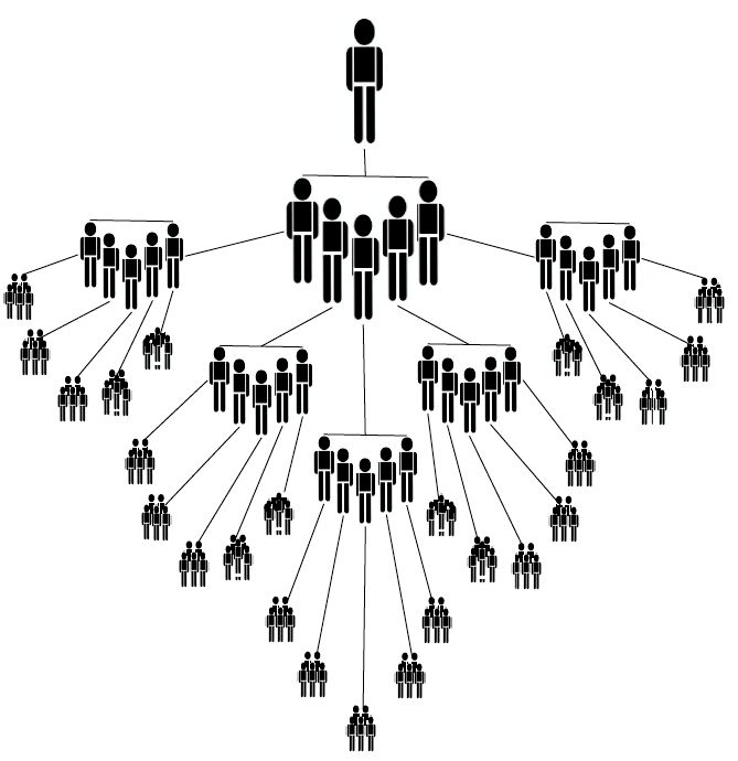 Phase 4 of EVF Growth Formula Plan