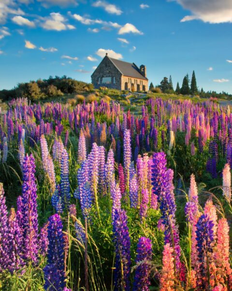 The Furthest Destination: How New Zealand Uses Distance to Its Advantage
