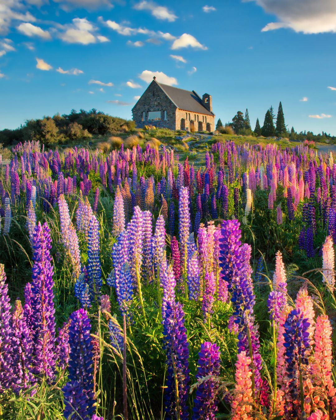 The Furthest Destination: How New Zealand Uses Distance to Its Advantage