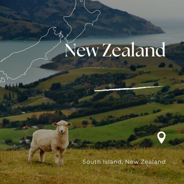 The Furthest Destination: How New Zealand Uses Distance to Its Advantage