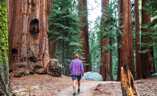 Napa Valley: Selling Lifestyle and Experience Beyond Wine Tourism