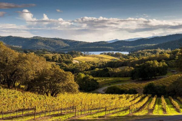 Napa Valley: Selling Lifestyle and Experience Beyond Wine Tourism