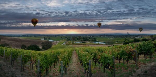 Napa Valley: Selling Lifestyle and Experience Beyond Wine Tourism