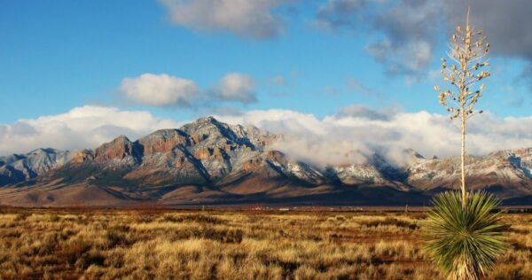 New Mexico: Where Indigenous Heritage Meets Modern Culture