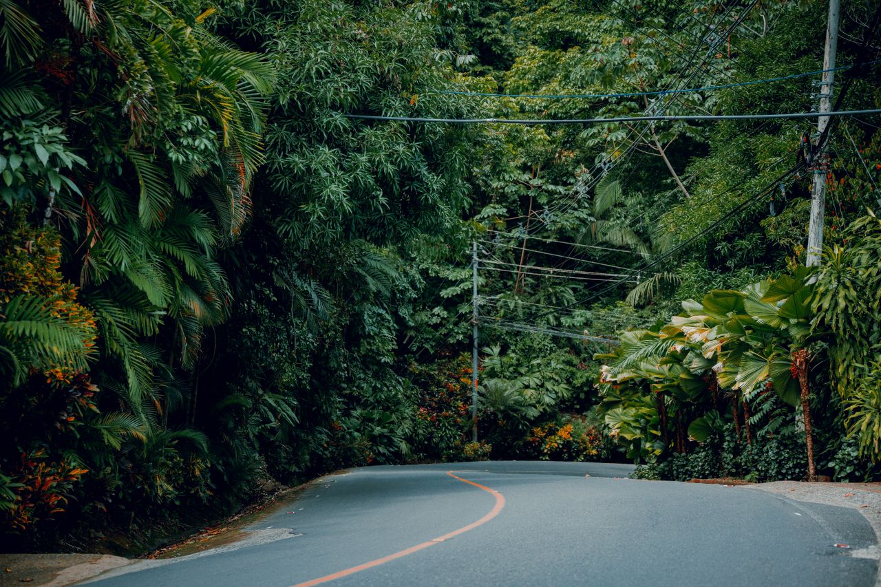 Costa Rica: A Global Leader in Sustainability and Eco-Tourism