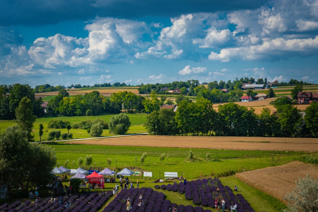 Brand publishing works for tree-based projects because it provides clear proof of what is happening around