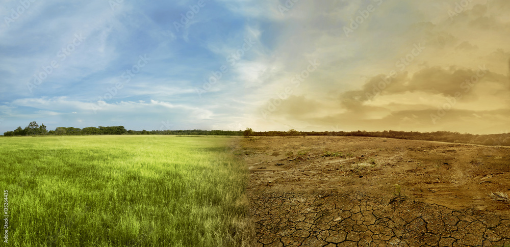 Landscape of meadow field with the changing environment due to climate change