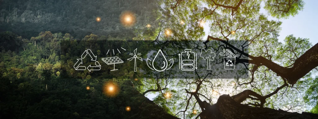 forest restoration and natural resource management