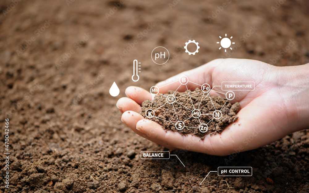 Soil Science. Top view of soil in hands for check the quality of the soil for control soil quality before seed plant. Future agriculture concept. Smart farming, using modern technologies in agriculture.