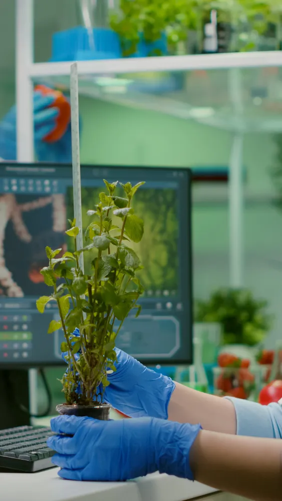 Good governance as a key pillar in building a coveted leadership brand